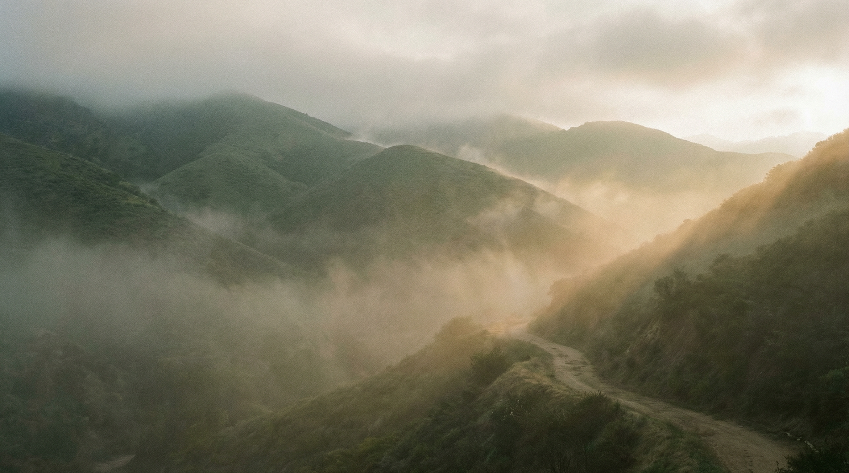 Vallée de montagne brumeuse à l'aube